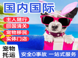 抚远机场快运国际宠物托运 【国